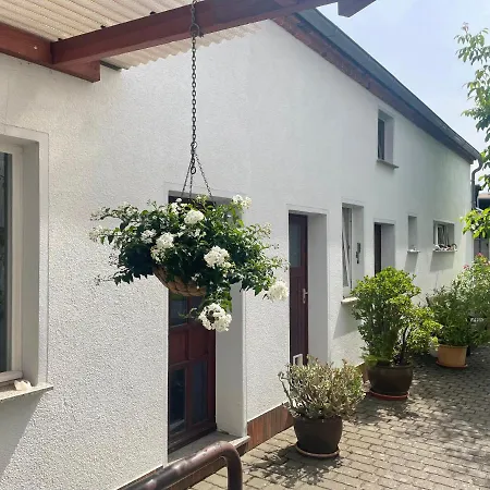 Ferienwohnung An der Bürgeheide Finsterwalde Exterior foto