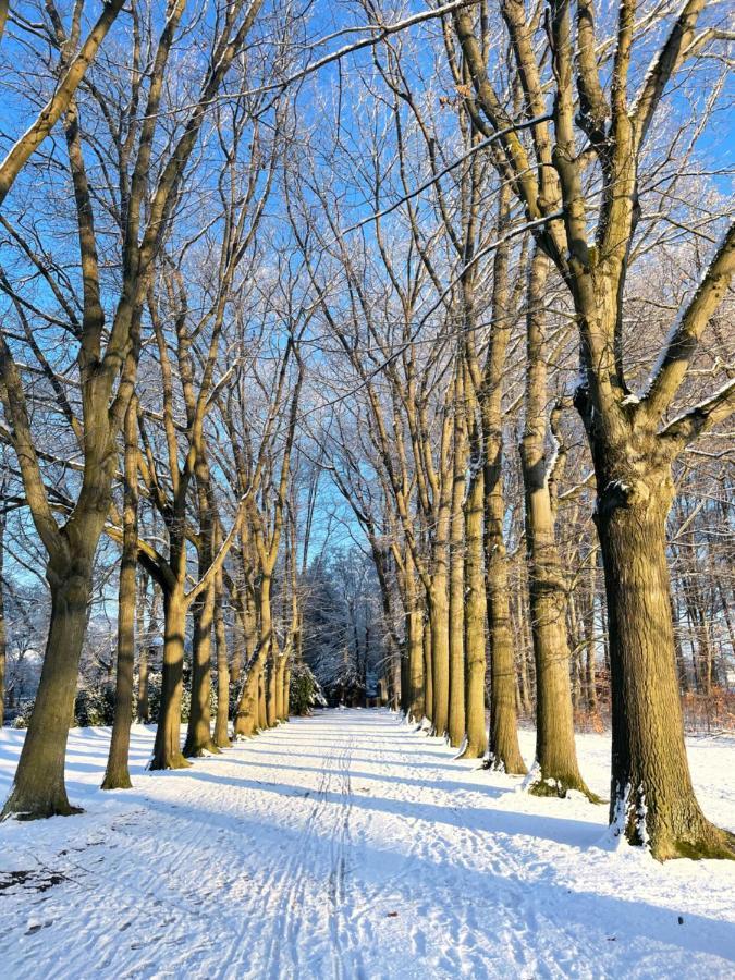 An Der Buergeheide * Finsterwalde